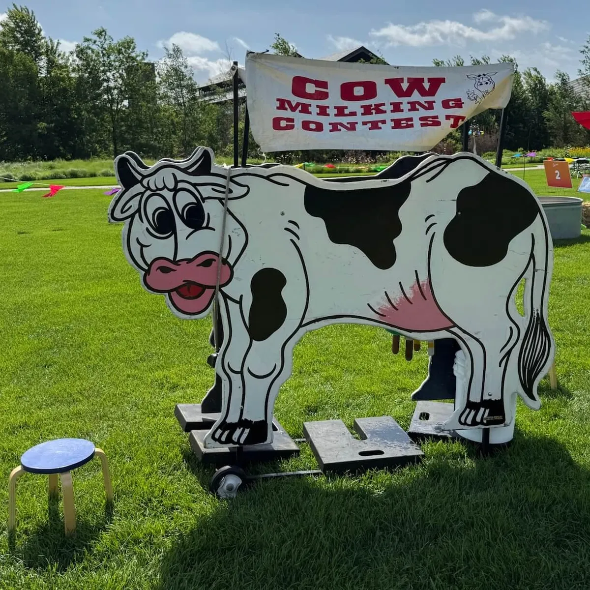Cow Milking Contest game rental with two milking stools for a head-to-head country-western competition