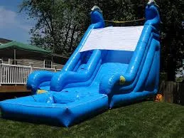 18' Dolphin themed inclined inflatable water slide rental with splash pool from AMJ Spectacular Events