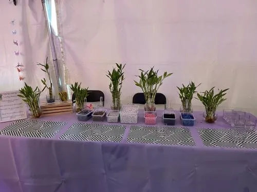 Bamboo Plant Craft activity station for guests to design their own plant at a Chicago event