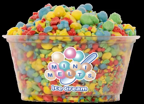 Mini Melts premium ice cream treats served from a branded portable freezer at a Chicago event
